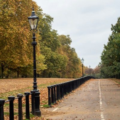 Photo of a path running through Hyde Park lined with gas lamps