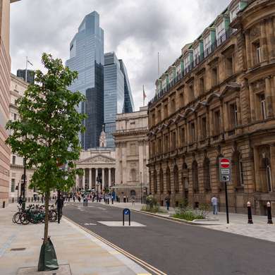 View of the Royal Exchange