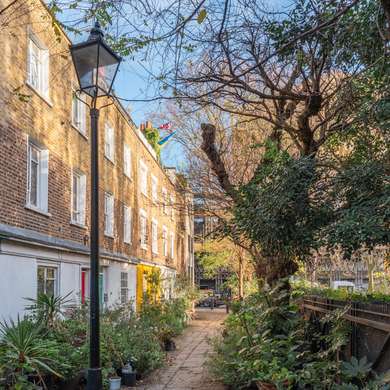 Photo of a leafy alleyway with a lamp post in the foreground.