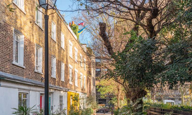 Photo of a leafy alleyway with a lamp post in the foreground.