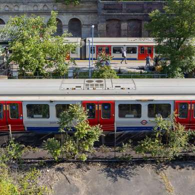 Photo of two Underground trains standing at South Kensington station.