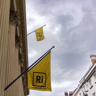 A picture of yellow flags flying at the front of the Royal Institution