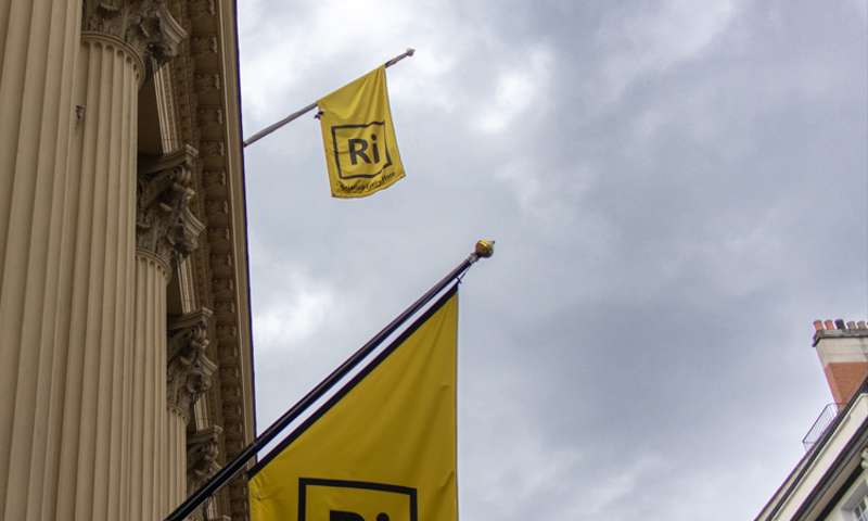 A picture of yellow flags flying at the front of the Royal Institution