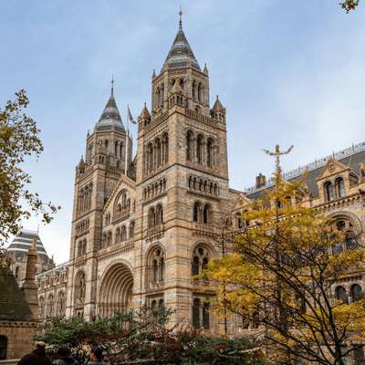 Photo of the Natural History Museum, a cathedral-like gothic structure.