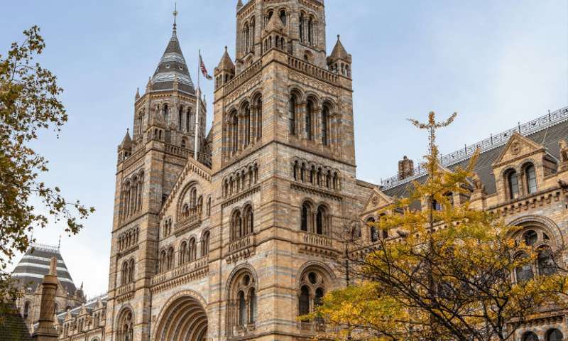 Photo of the Natural History Museum, a cathedral-like gothic structure.