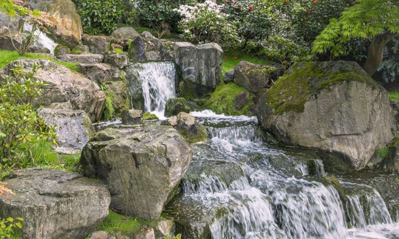 A picture of a waterfall surrounded by trees