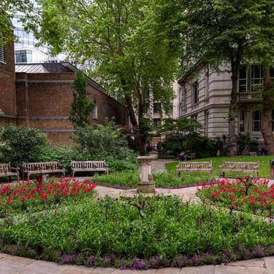 A picture of a flower border in the park.