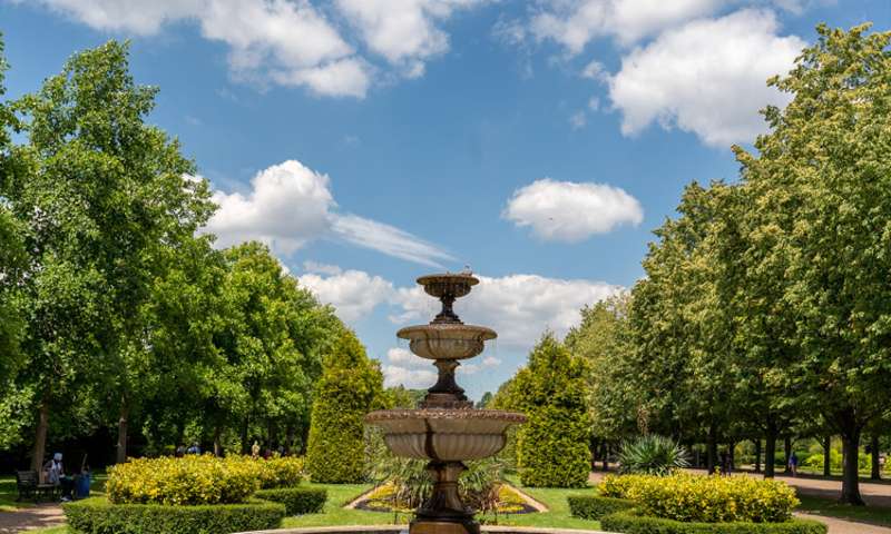 A fountain in Reagent's Park, with a pigeon in it.