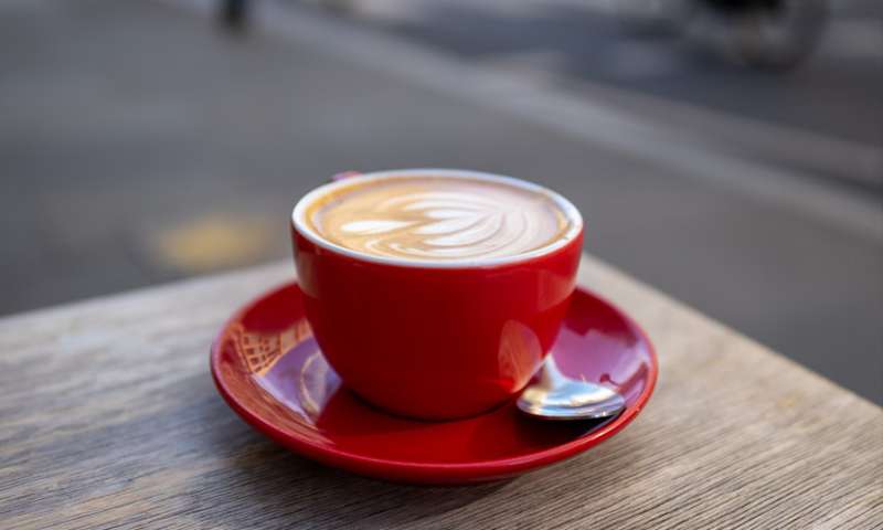 Photo of a flat white in a red cup.