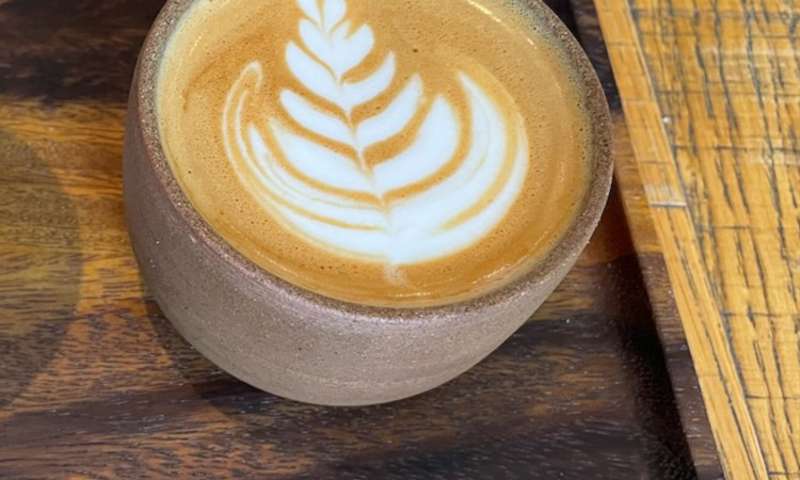 Photo of a flat white in a kind of earthenware cup thing with no handle.