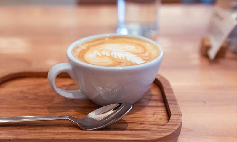 Photo of a flat white with fern-like latte art.